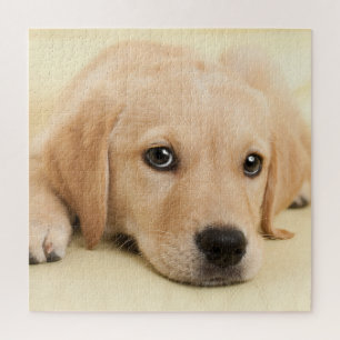 Create Your Own Pet Photo Custom Picture Jigsaw Puzzle