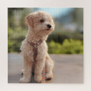 Create Your Own Pet Photo Custom Picture Jigsaw Puzzle