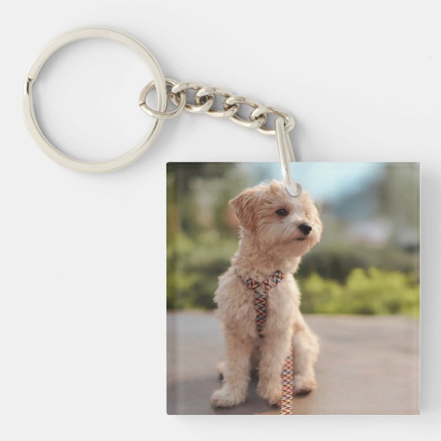 Create Your Own Pet Photo Custom Picture Keychain (Front)