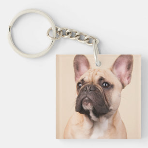 Create Your Own Pet Photo Custom Picture Keychain