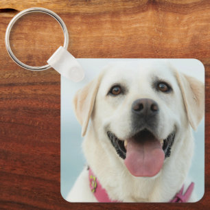 Create Your Own Pet Photo Custom Picture Keychain