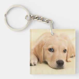 Create Your Own Pet Photo Custom Picture Keychain