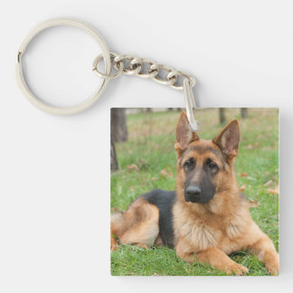 Create Your Own Pet Photo Custom Picture Keychain