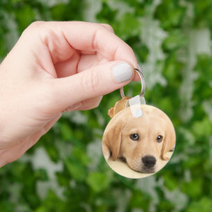 Create Your Own Pet Photo Custom Picture Keychain