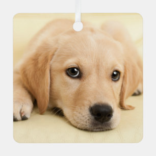 Create Your Own Pet Photo Custom Picture Metal Ornament
