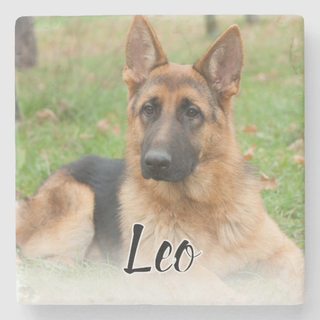 Create Your Own Pet Photo Custom Picture Name Stone Coaster (Front)