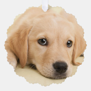 Create Your Own Pet Photo Custom Picture Ornament Card