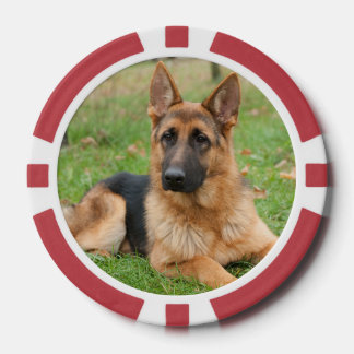 Create Your Own Pet Photo Custom Picture Poker Chips