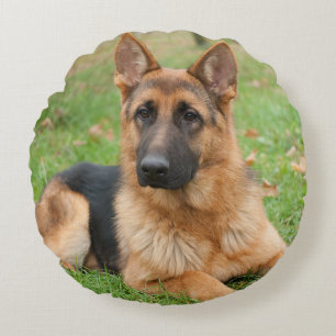 Create Your Own Pet Photo Custom Picture Round Pillow