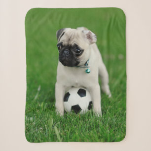 Create Your Own Pet Photo Custom Picture Sherpa Blanket