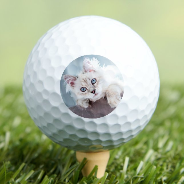 Create your Own Pet Photo Golf Balls (Create your Own Photo Golf Balls)