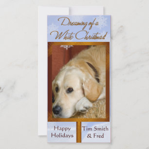 Create your own pet photo holiday card
