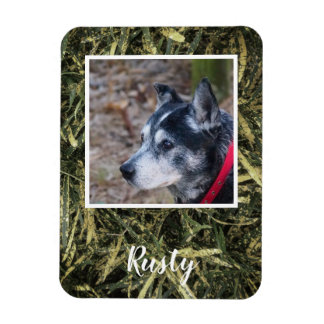 Create your own pet photo magnet