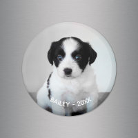 Create Your Own Pet Photo Name and Year