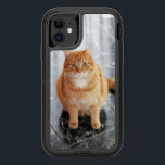 Create your own pet photo OtterBox defender iPhone 11 case<br><div class="desc">Add your own photo to your OtterBox Samsung Galaxy Case.</div>