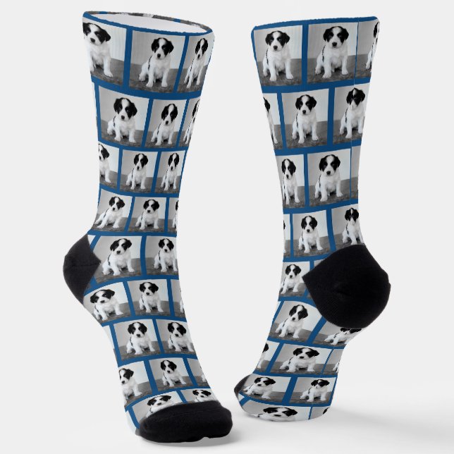 Create Your Own Pet Photo Pattern Blue Border Socks (Angled)