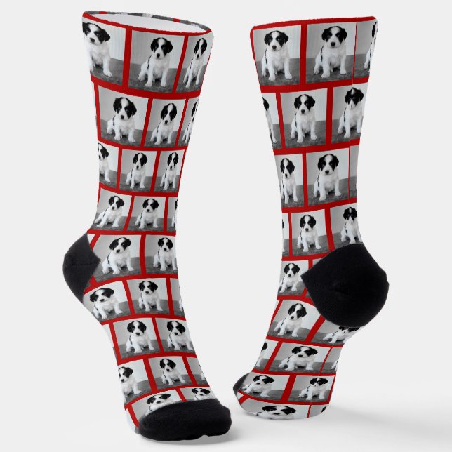 Create Your Own Pet Photo Pattern Red Border Socks (Angled)