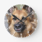 Create your own pet photo