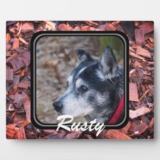 Create your own pet plaque