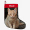 Create Your Own Pet Tabby Cat Photo 