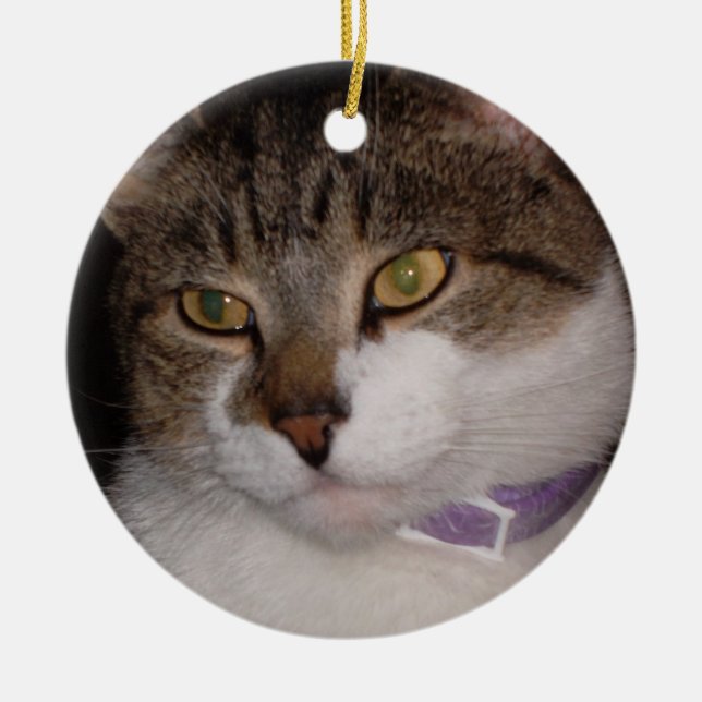 Create your own photo Circle ornament template (Front)