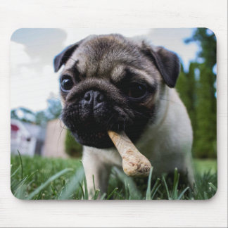 Create Your Own Photo Custom Mouse Pad