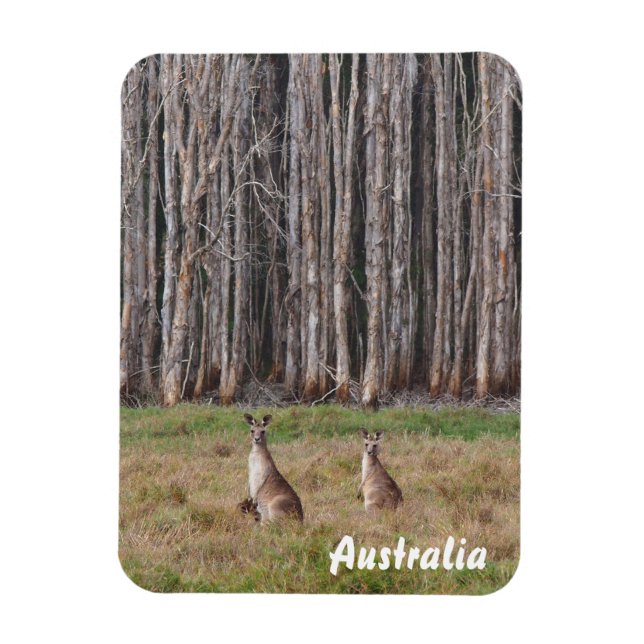 Create your own photo magnet (Vertical)