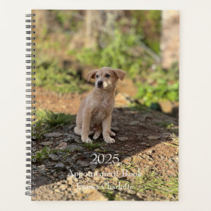 Create Your Own Photo Planner Custom