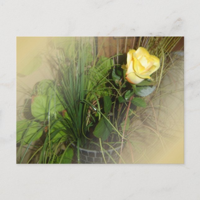 CREATE YOUR OWN PHOTO POSTCARD (Front)