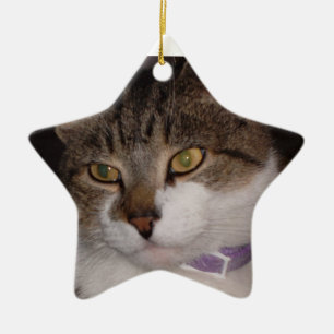 Create your own photo Star Ornament Template