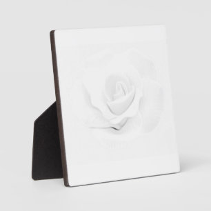 Create Your Own - Plaque