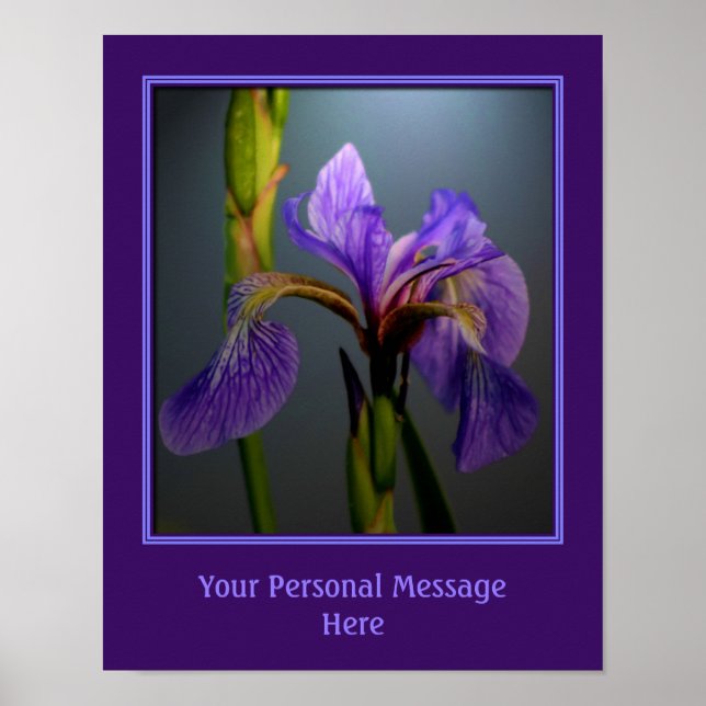 Create Your Own Quote Blue Flag Iris Flower  Poster (Front)