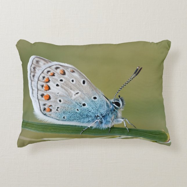 Create Your Own Simple Custom 13" x 21" Accent Pillow (Front)