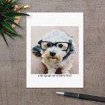 Create Your Own Single Photo Gallery white border Postcard<br><div class="desc">Add your favourite selfie or portrait of a friend. Use a square photo to create a unique and personal gift or keep the hipster puppy and make a trendy keepsake. If you need to adjust the pictures,  click on the customize tool to make changes.</div>