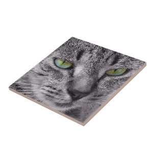 Create your own square tile - tabby cat
