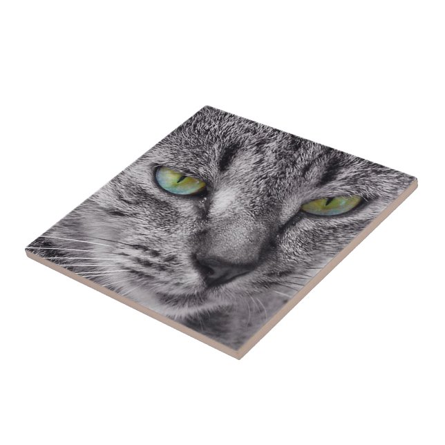 Create your own square tile - tabby cat (Side)