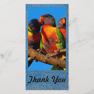 Create your own Thank You photo card