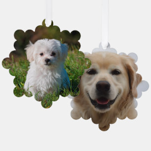 Create Your Own Two-sided Dog Photos Ornament Card