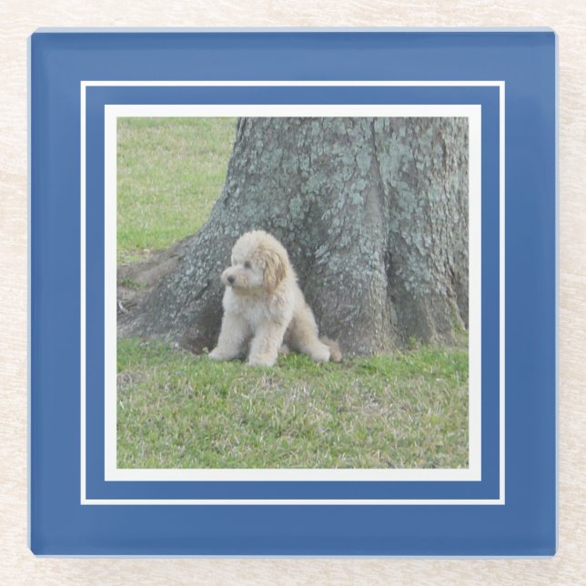 Create Your Own Your Photo Template Blue & White Glass Coaster (Front)