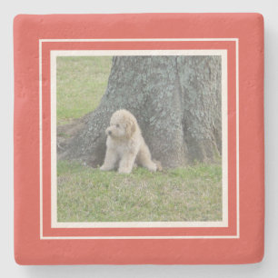 Create Your Own Your Photo Template Coral & White Stone Coaster