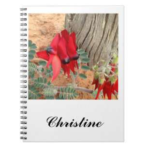 Create your Sturt's Desert Pea notebook