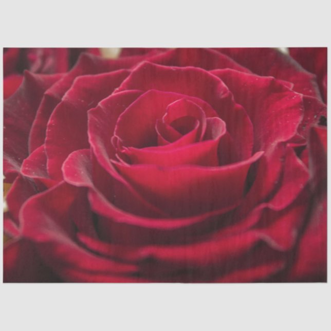 Created for you elegant photo greeting personalize tissue paper (Front)