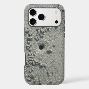 Creaters en Mars Hakuna Matata.JPG