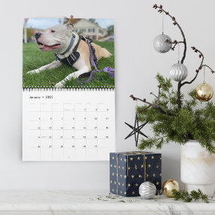 Creating Dog Memories Personalized Calendar