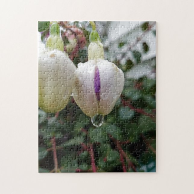 Creative bud fuchsia flower photo jigsaw puzzle (Vertical)