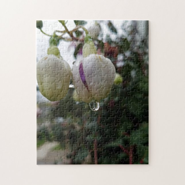 Creative bud fuchsia flower photo jigsaw puzzle (Vertical)