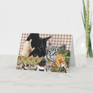 Creative Cats Greeting Card