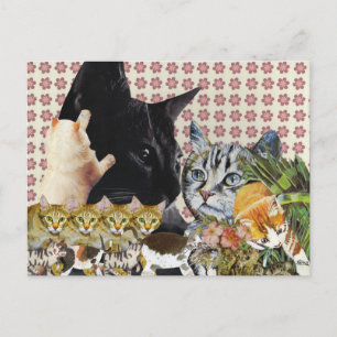 Creative Cats Postcard