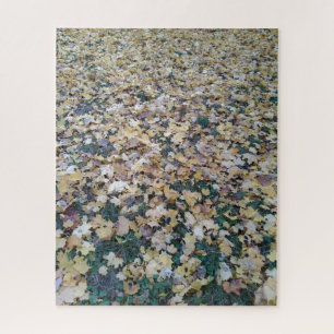 Creative landscape leaves fall photo jigsaw puzzle