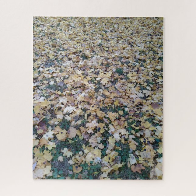Creative landscape leaves fall photo jigsaw puzzle (Vertical)